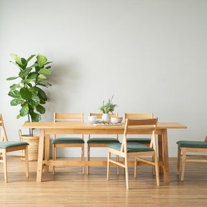 BLANE DINING CHAIR 102/6073
