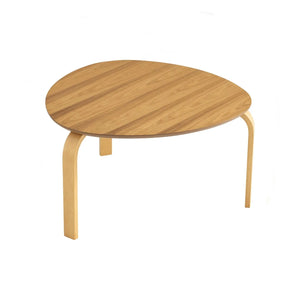 SANDRA SET OF 2 COFFEE TABLE 102