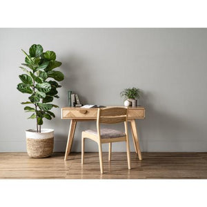 REVA DINING CHAIR 102/3724