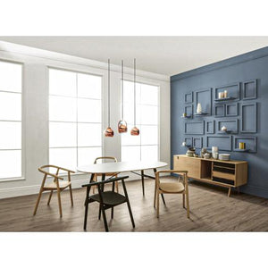 GERD DINING CHAIR 114 (#)