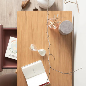 MOREY WORKING DESK 102/102/1312