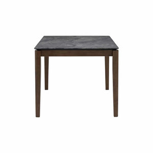 FOTRESS 900 X 1600 DINING TABLE 109/166