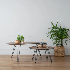 CORWIN ROUND COFFEE TABLE 802/109