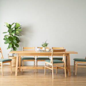 BLANE DINING CHAIR 102/6073