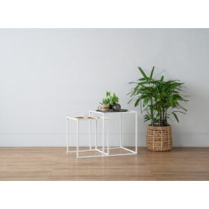 CARIAD NEST OF 2 COFFEE TABLE SET 801 (#)