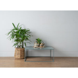 DARNELL COFFEE TABLE 805 (#)