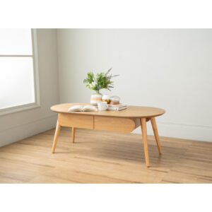 ORRA COFFEE TABLE WITH 2 DRAWER 102