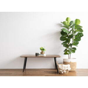 CARSYN RECTANGULAR  COFFEE TABLE 114/109