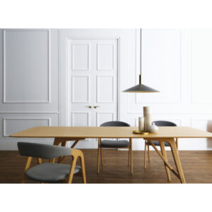 FIDEL 950X2200 RECTANGLE TABLE 112 (#)