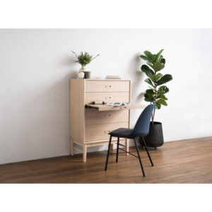 LAXMI DINING CHAIR 802/206/F04 (#)