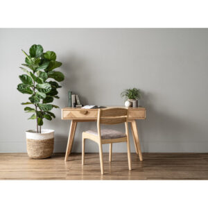 REVA DINING CHAIR 102/3724