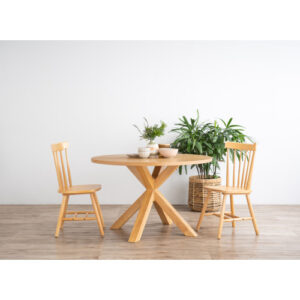 DANA DINING CHAIR 102