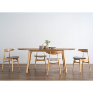 TRICIA DINING CHAIR 102/7052